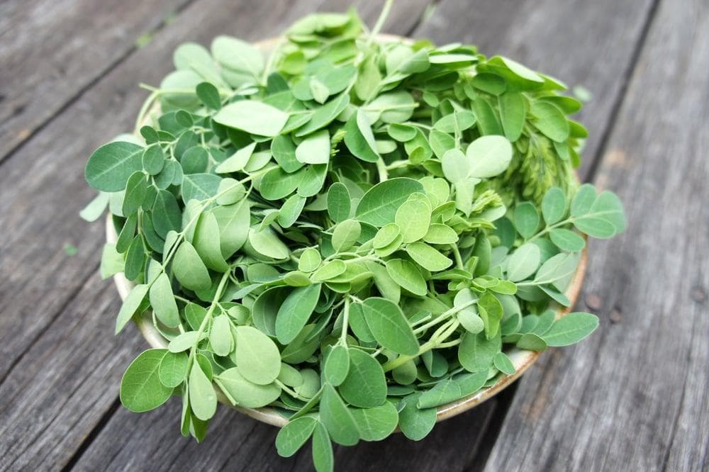Moringa Leaves (Moringa Oleifera)