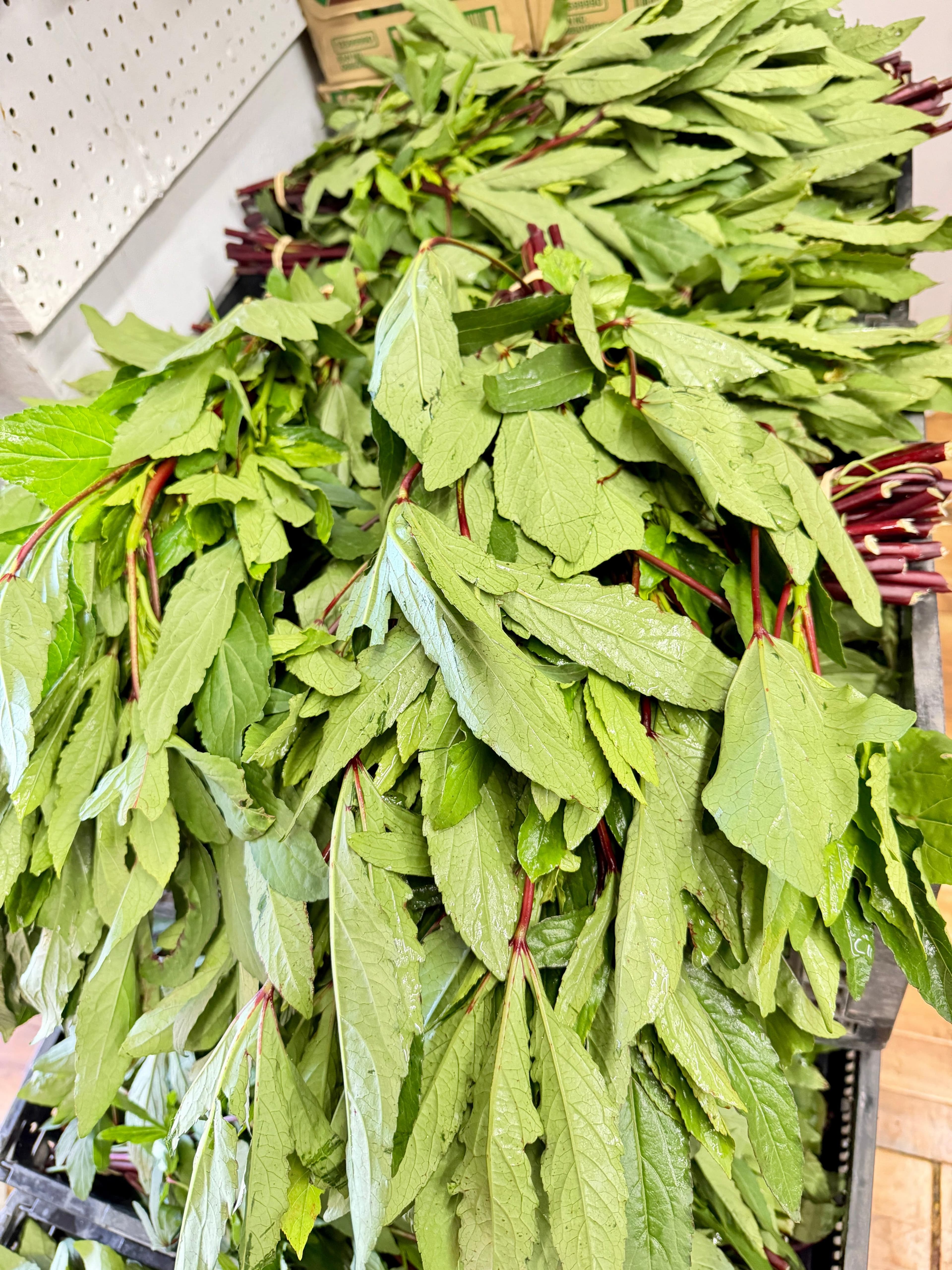 Roselle Leaves (Chin Baung / Sour Leaf) – Texas Grown