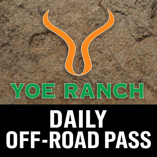 Daily Access Pass