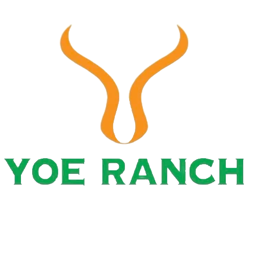 Yoe Ranch  