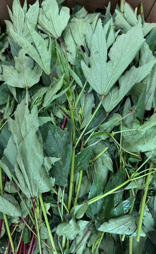 Roselle/Hibiscus Leaves