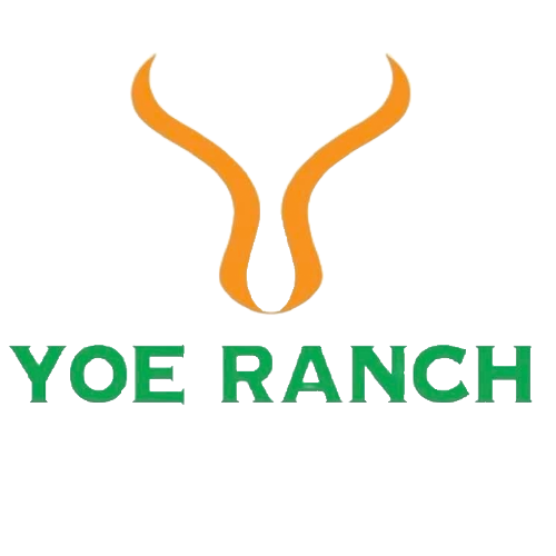 Yoe Ranch  